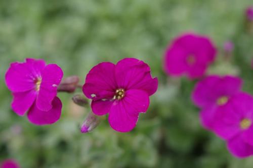 0116189c-053c-406a-b83a-cec92e78d1a7