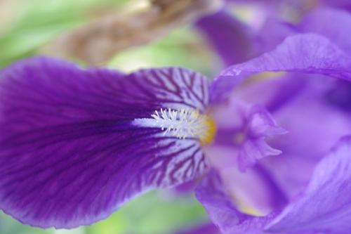 06806b4a-ae15-4699-a228-c5d3a2467932