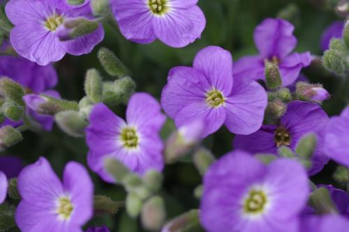 1292f4d3-c25e-466a-9385-1f4faa3dbf29