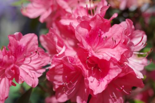 1371b308-2340-411c-beda-db7c6d6a63d5