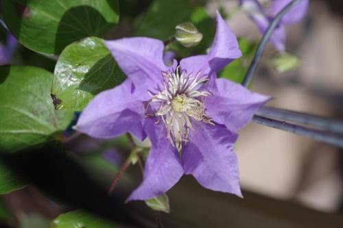 17549813-19b2-4eb8-b9d3-00ec9033d00b