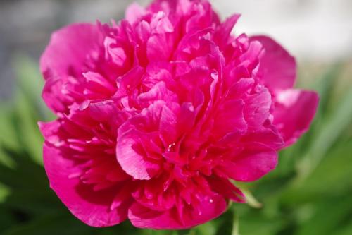 2a5162f8-5ec0-43c7-a9ab-091e84c7cbd5