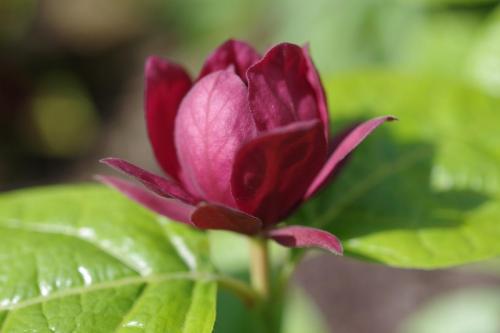 35e6358f-936a-4c10-bc4e-be770a733220