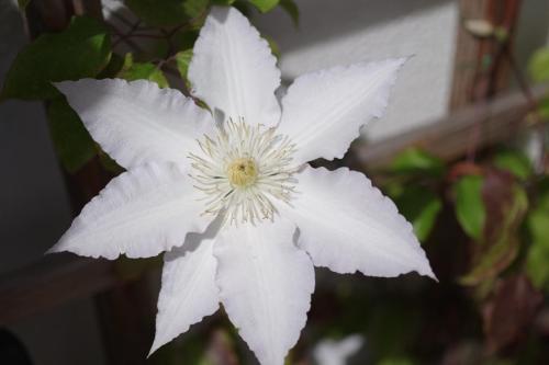 4bbdfbd9-f3bd-456d-9ee5-adc6e55bb6d5