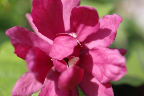 514aa3ff-c518-4110-bf69-686d2d9bf054