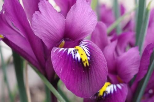 573229a7-ebc8-474b-bdba-dad9edf7e9c6