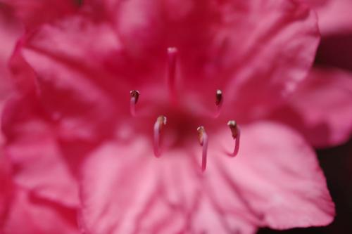 576c449b-a695-4038-a58a-7e7015507eb7