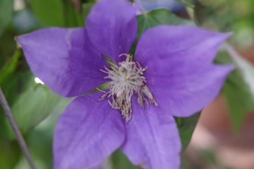 5ef492de-5187-4562-a571-d1daf9464041