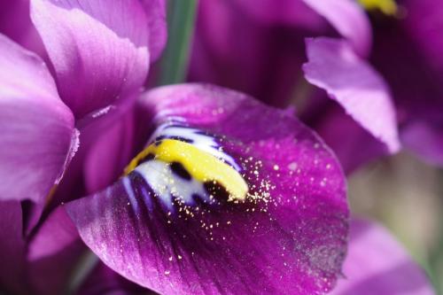 dec45e69-f8cd-4bed-96d1-3640089a7b12