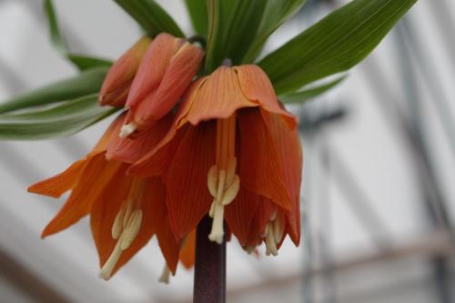 f6ac50f9-d74d-4f7d-b66e-c129dae27ebc