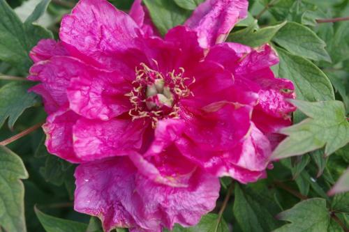 fb7b62c8-988d-41b0-a7db-b66430c86c09